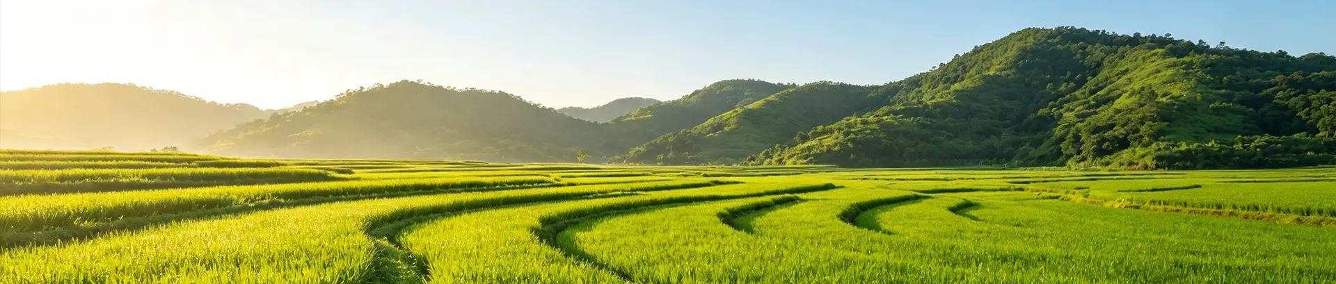 联系方式
