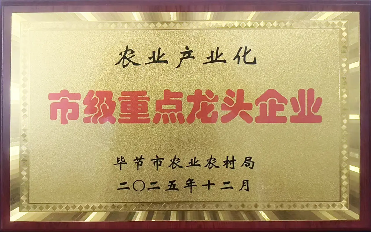 市级重点龙头企业